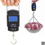 portable digital weight scale