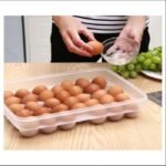 Egg Storage Box 34-Grid